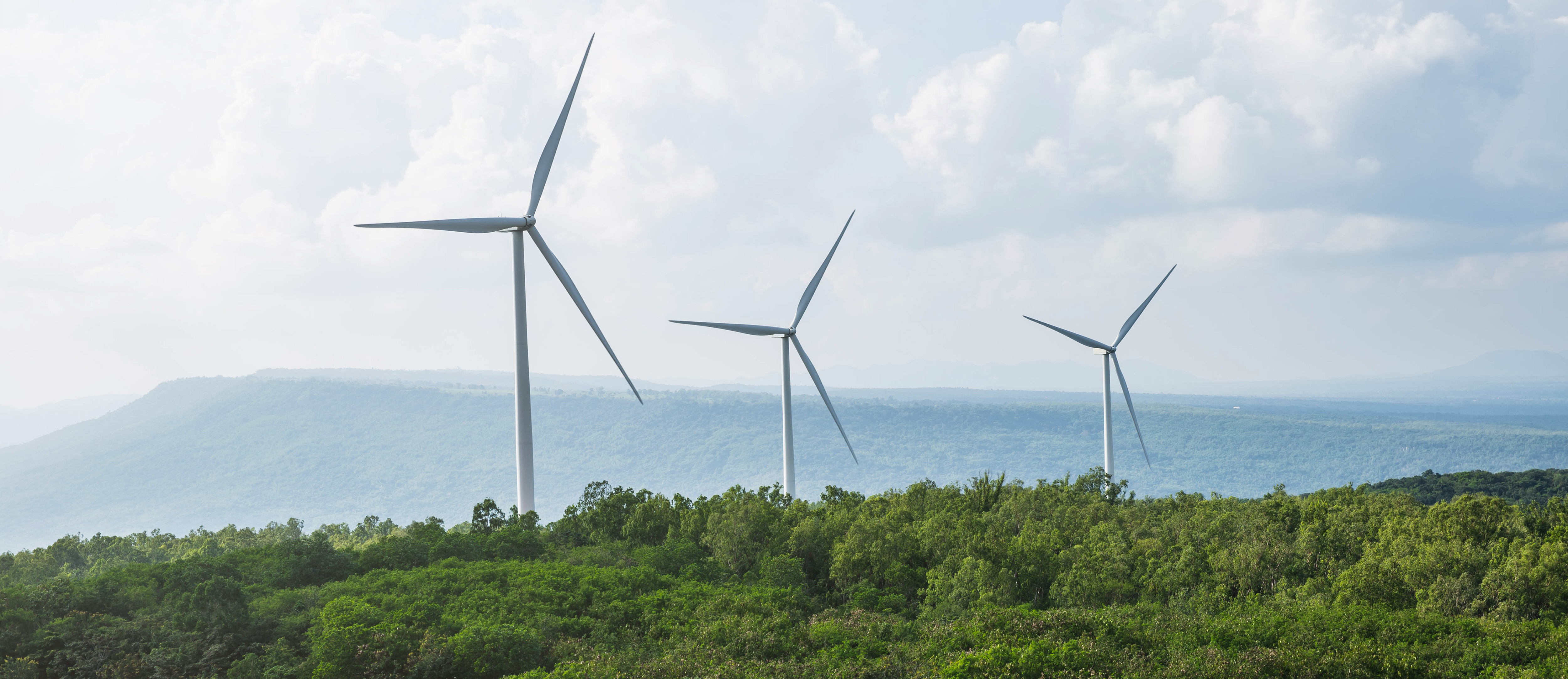 图虫创意-917577989994577952